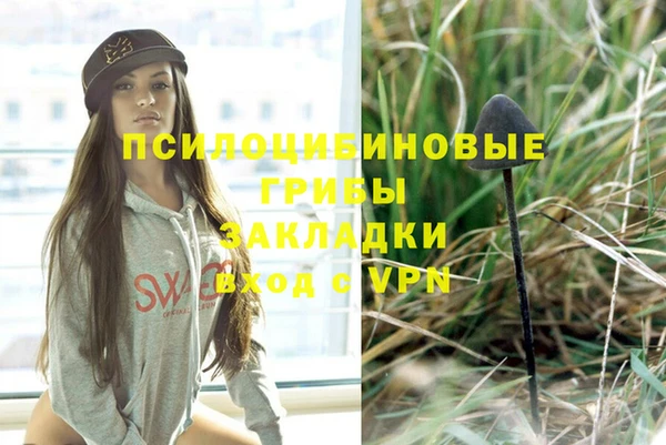 МДПВ Абинск