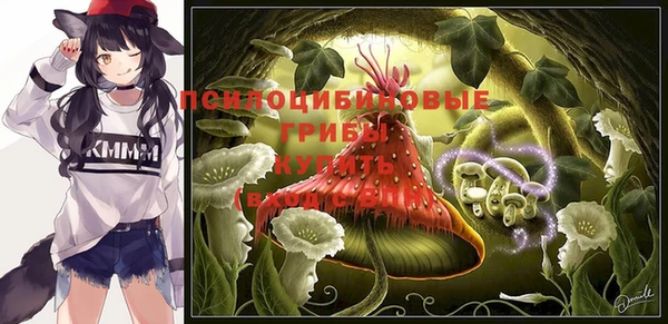 МДПВ Абинск