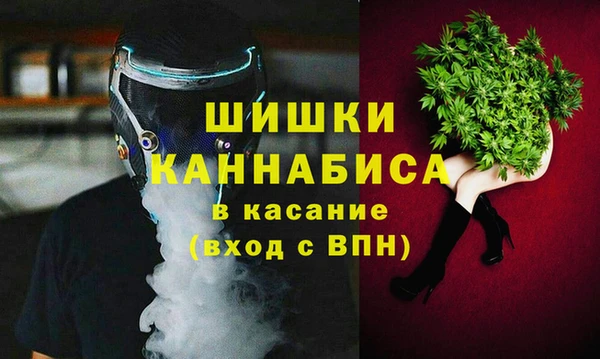 сатива Алзамай