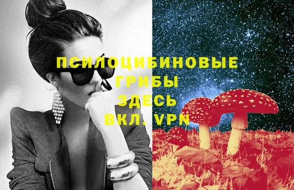 МДПВ Абинск
