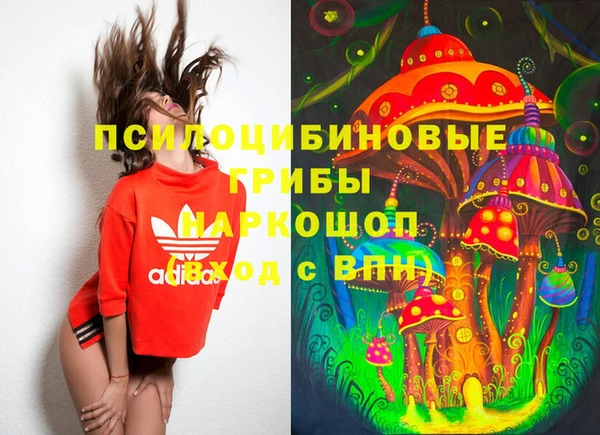 прущие крисы Абаза