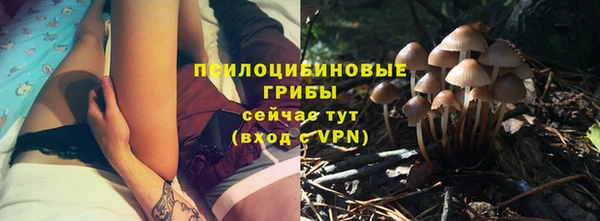 прущие крисы Абаза