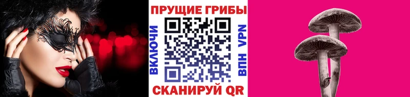 мега как войти  Магнитогорск  Псилоцибиновые грибы мицелий 